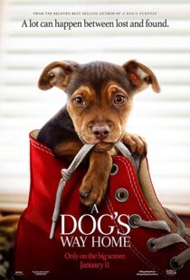 دانلود فیلم A Dog’s Way Home 20198110-225010064