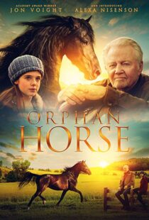 دانلود فیلم Orphan Horse 20188125-765438451
