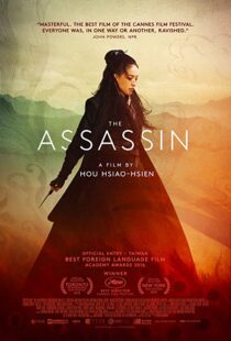 دانلود فیلم The Assassin 201513760-1868425189