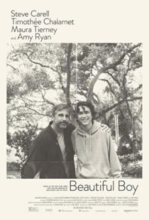 دانلود فیلم Beautiful Boy 201819853-1583501898