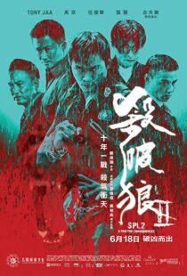 دانلود فیلم Kill Zone 2 20151845-133950062