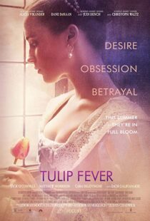 دانلود فیلم Tulip Fever 20177739-743336054