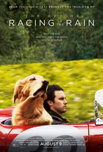 دانلود فیلم The Art of Racing in the Rain 201916633-29847903