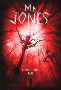 دانلود فیلم Mr. Jones 201337611-118588730