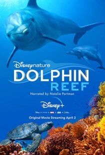 دانلود مستند Dolphin Reef 201838724-573273921