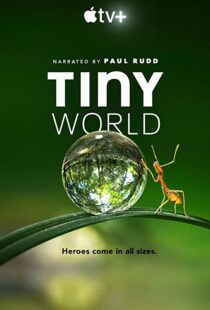 دانلود مستند Tiny World52124-732046637