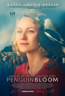 دانلود فیلم Penguin Bloom 202073302-846751656
