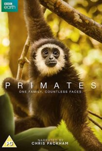 دانلود مستند Primates77865-1766650444