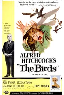 دانلود فیلم The Birds 196382372-2049750212