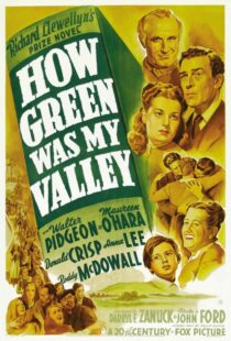 دانلود فیلم How Green Was My Valley 194181855-1344936970