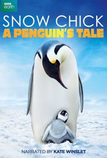 دانلود مستند Snow Chick: A Penguin’s Tale 2015109604-1960884485