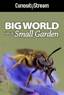 دانلود مستند Big World in a Small Garden 2016102965-1272939154