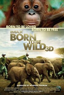 دانلود مستند Born to Be Wild 2011110503-2076820940