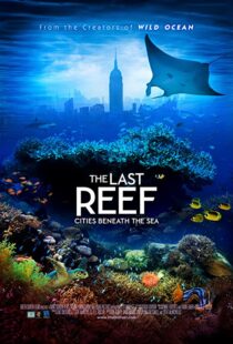 دانلود مستند The Last Reef 2012113204-1689624560
