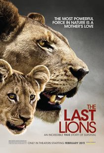 دانلود مستند The Last Lions 2011195626-602231606