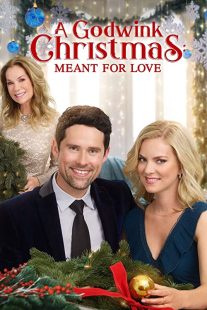 دانلود فیلم A Godwink Christmas: Meant for Love 201931842-436037062