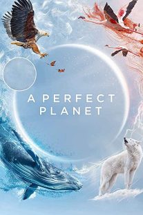 دانلود مستند A Perfect Planet231098-689655538