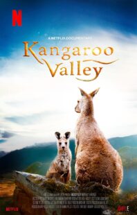 دانلود فیلم Kangaroo Valley 2022322977-1739378548