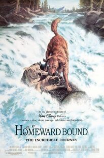 دانلود فیلم Homeward Bound: The Incredible Journey 1993371118-1762929378