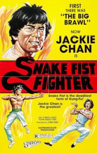 دانلود فیلم Snake Fist Fighter 1973388650-297781377