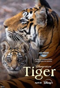 دانلود مستند Tiger 2024396409-621667391