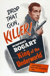 دانلود فیلم King of the Underworld 1939399475-1095559479