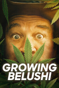 دانلود سریال Growing Belushi400424-838150615