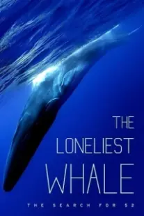 دانلود فیلم The Loneliest Whale: The Search for 52 2021403098-1011102964