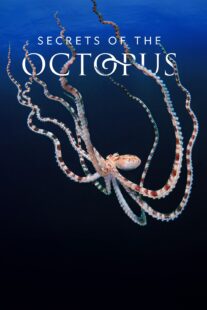 دانلود سریال Secrets of the Octopus401286-1091136878