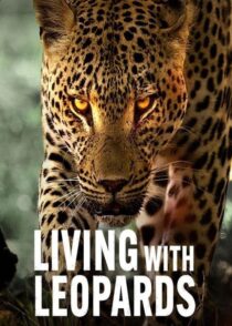 دانلود مستند Living with Leopards 2024400477-1937367491