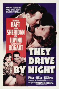 دانلود فیلم They Drive by Night 1940411221-981164223