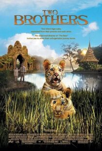 دانلود فیلم Two Brothers 2004415854-1261870163