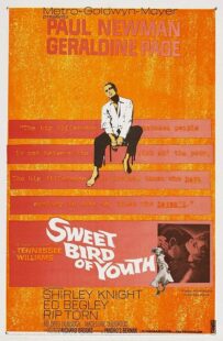دانلود فیلم Sweet Bird of Youth 1962415738-292776144