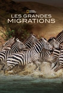 دانلود مستند Great Migrations417146-2134729899