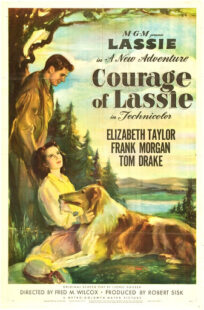 دانلود فیلم Courage of Lassie 1946417427-1963343595