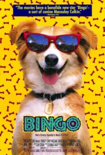 دانلود فیلم Bingo 1991417459-990075378