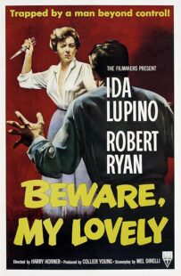 دانلود فیلم Beware, My Lovely 1952420627-1180035693