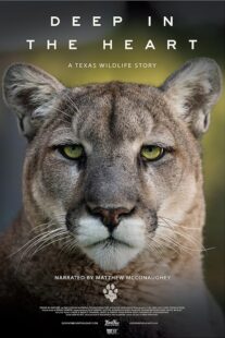 دانلود مستند Deep in the Heart: A Texas Wildlife Story 2022421545-1590145829