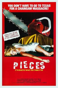 دانلود فیلم Pieces 1982422164-914222455