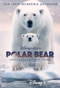 دانلود مستند Polar Bear 2022422974-2101356193
