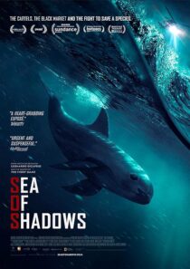 دانلود فیلم Sea of Shadows 2019427147-1489235244