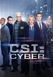 دانلود سریال CSI: Cyber428329-445527367