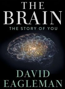 دانلود سریال The Brain with Dr. David Eagleman428613-1555688306