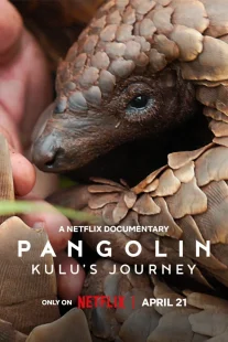 دانلود مستند Pangolin: Kulu’s Journey 2025430703-45076572
