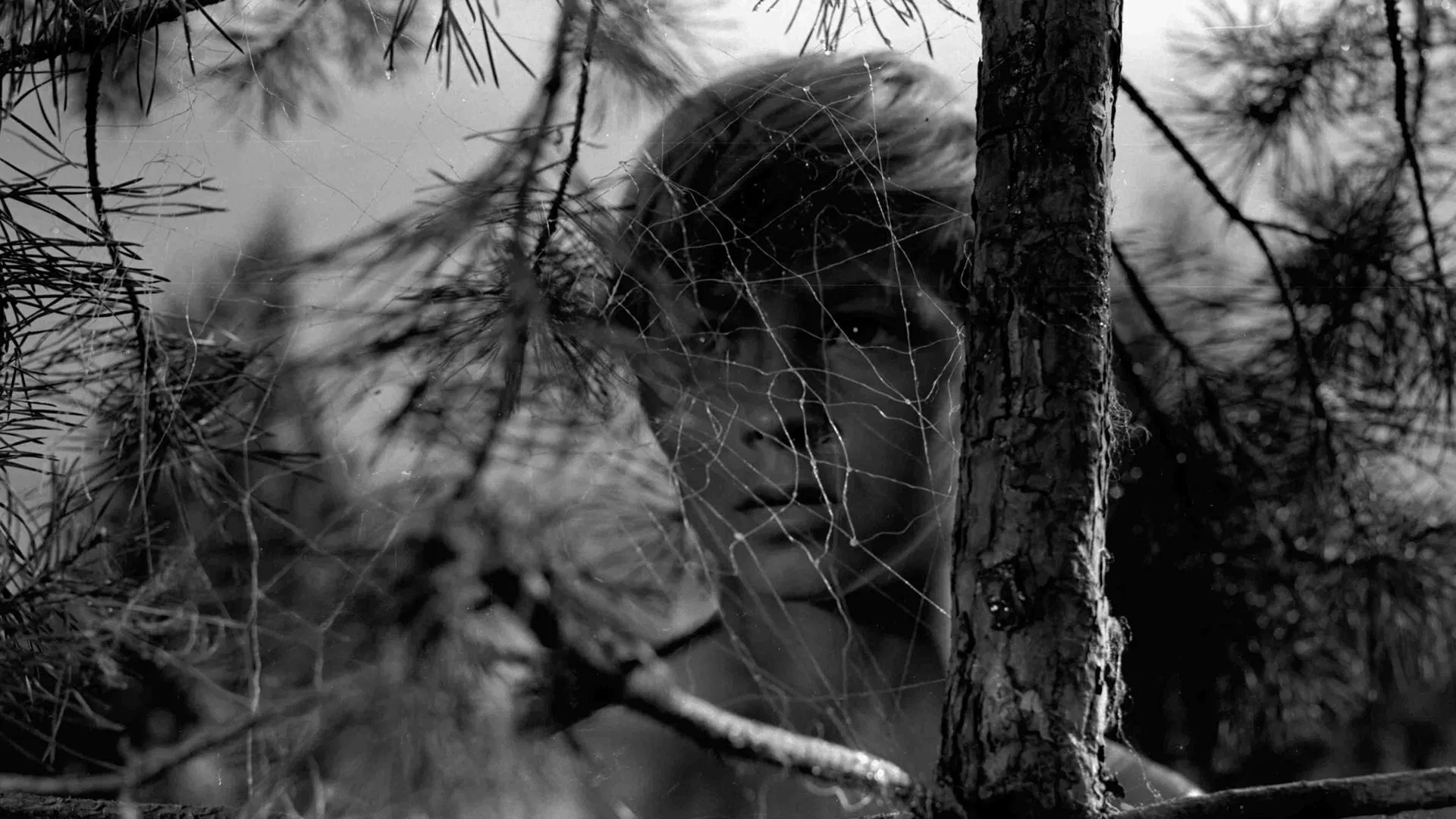 دانلود فیلم Ivan’s Childhood 1962