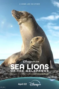 دانلود مستند Sea Lions of the Galapagos 2025431056-1733279417